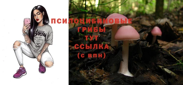 хмурый Верхний Тагил