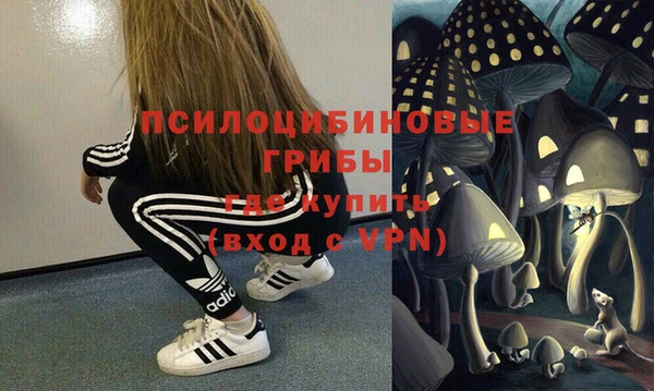 дмт Вяземский