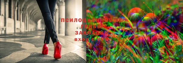 ПСИЛОЦИБИНОВЫЕ ГРИБЫ Волоколамск