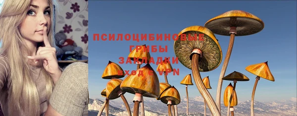 стаф Вязьма
